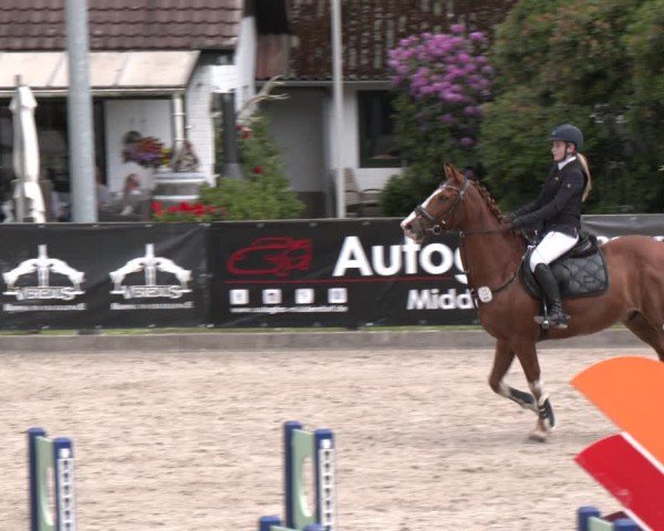 Reitturnier Klein Roscharden 2025