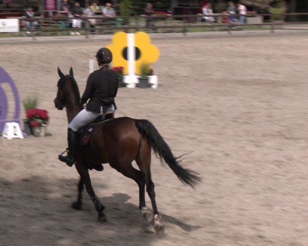 Reitturnier Klein Roscharden 2025