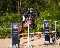 jumper Annabell (Trakehner, 2010, from Cadeau)