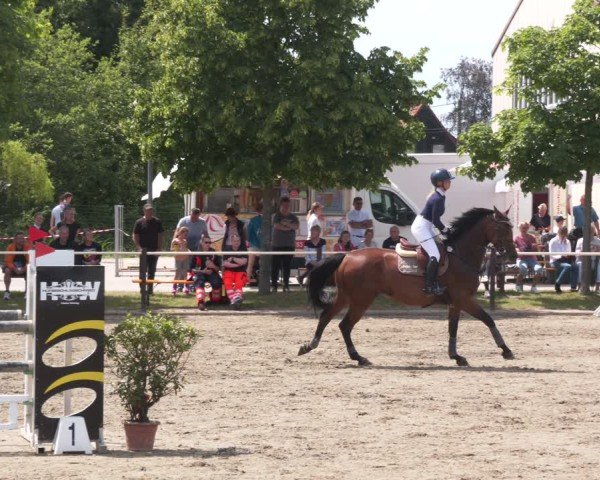 Reitturnier Kitzscher / Reitanlage Heuter 2025