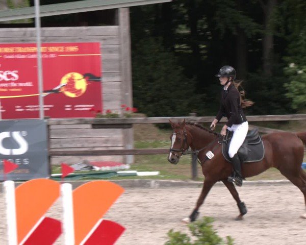 Reitturnier Klein Roscharden 2025