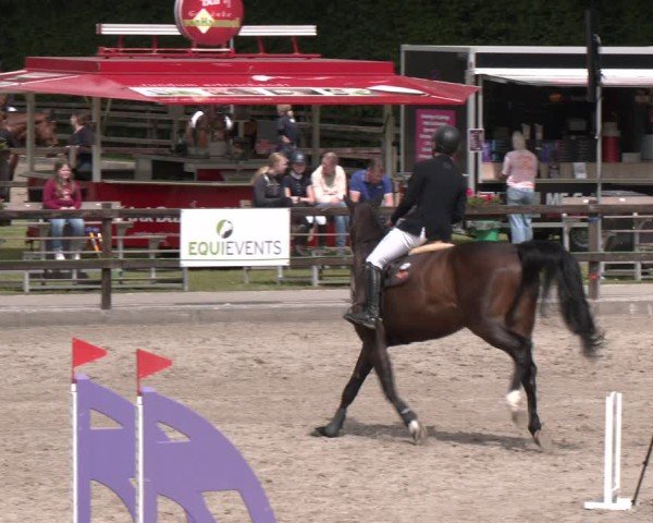 Reitturnier Klein Roscharden 2025