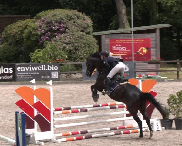 Reitturnier Klein Roscharden 2025