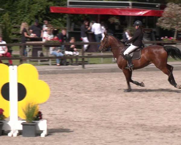Reitturnier Klein Roscharden 2025