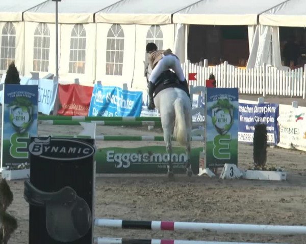 Reitturnier Werne-Lenklar 2014