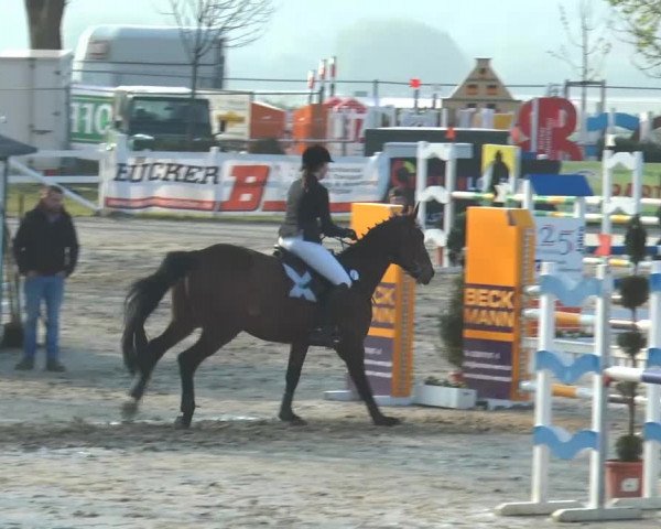 Lenklarer Reitertage 2014