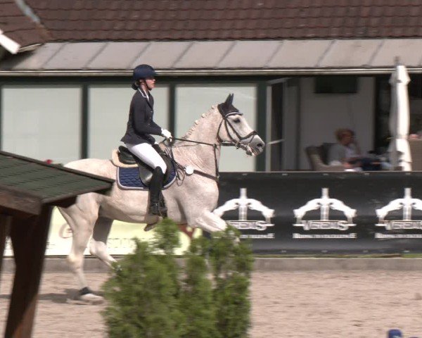 Reitturnier Klein Roscharden 2025