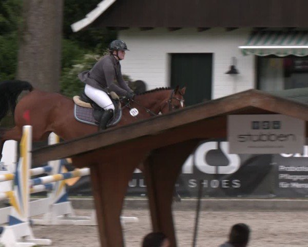 Reitturnier Klein Roscharden 2025