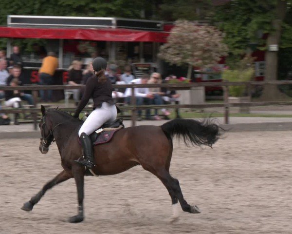 Reitturnier Klein Roscharden 2025