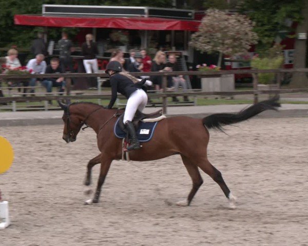 Reitturnier Klein Roscharden 2025