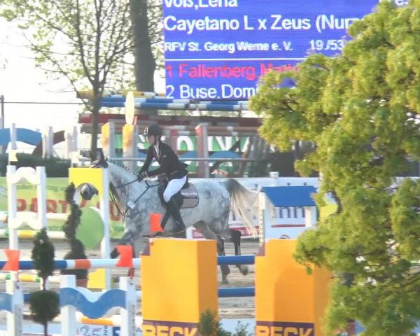 Lenklarer Reitertage 2014