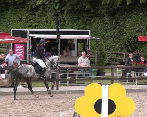 Reitturnier Klein Roscharden 2025