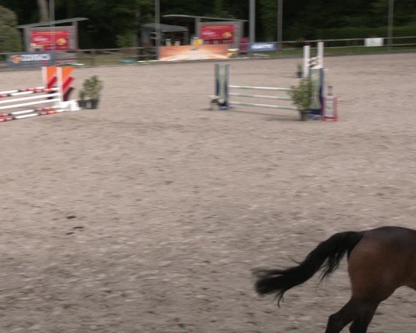 Reitturnier Klein Roscharden 2025