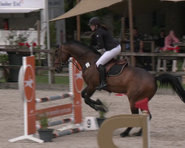 Reitturnier Klein Roscharden 2025