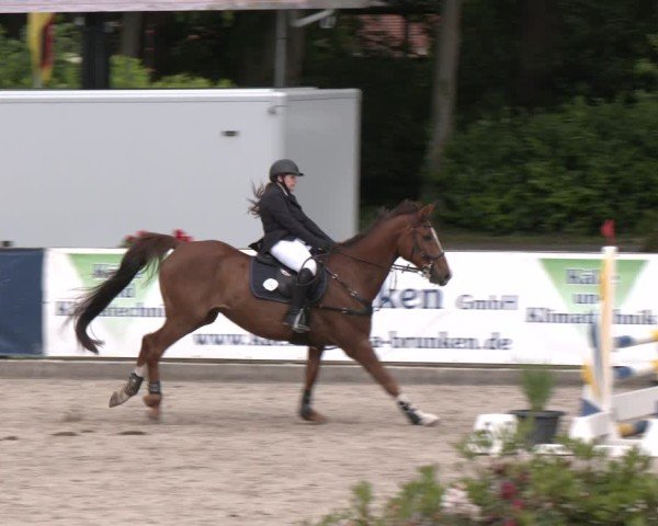 Reitturnier Klein Roscharden 2025