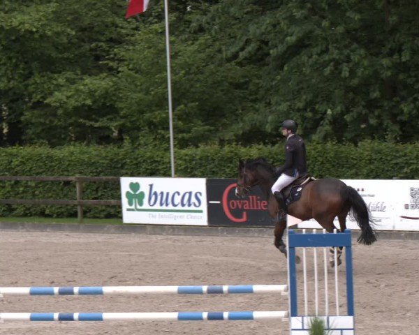 Reitturnier Klein Roscharden 2025