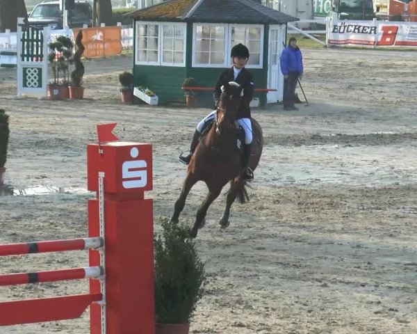 Reitturnier Werne-Lenklar 2014