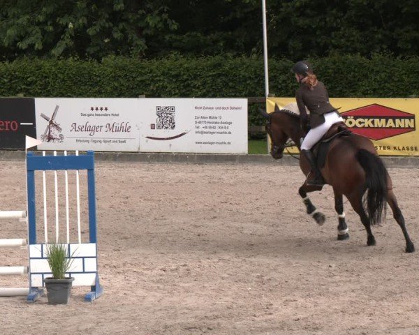 Reitturnier Klein Roscharden 2025