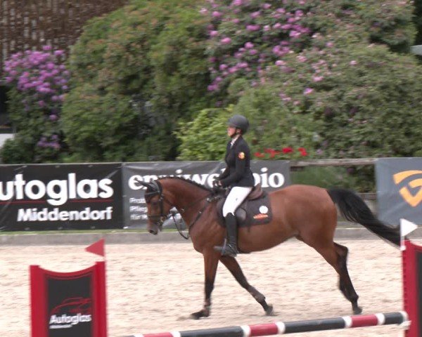 Reitturnier Klein Roscharden 2025