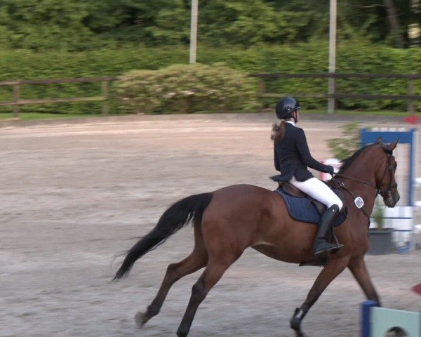 Reitturnier Klein Roscharden 2025