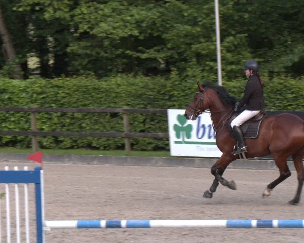 Reitturnier Klein Roscharden 2025