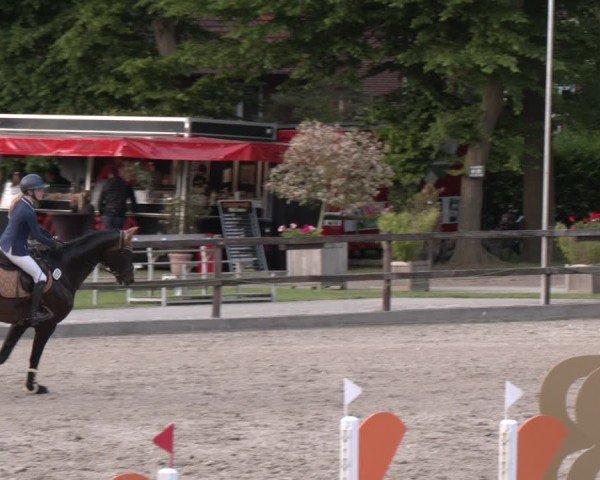 Reitturnier Klein Roscharden 2025