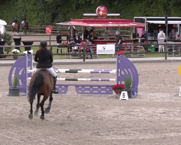 Reitturnier Klein Roscharden 2025