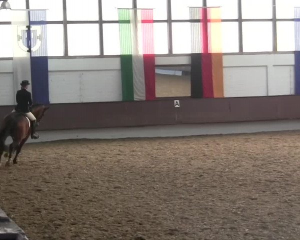 Eröffnung der grünen Saison Bottrop 2014