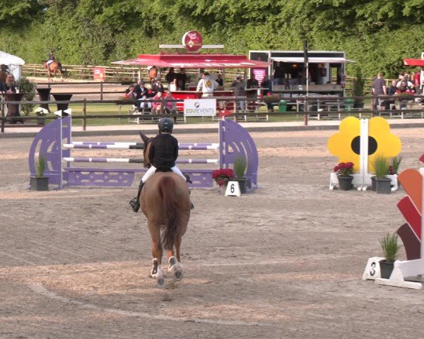 Reitturnier Klein Roscharden 2025