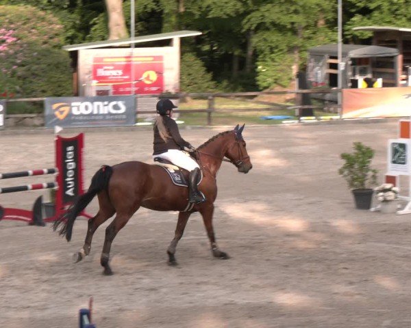Reitturnier Klein Roscharden 2025