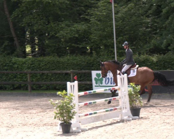 Reitturnier Klein Roscharden 2025
