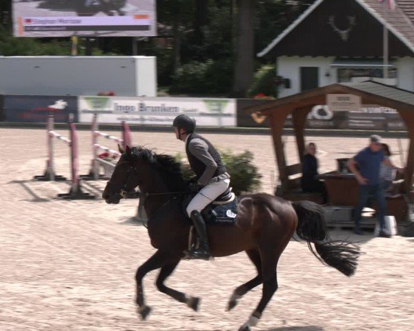 Reitturnier Klein Roscharden 2025