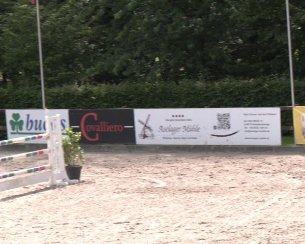 Reitturnier Klein Roscharden 2025