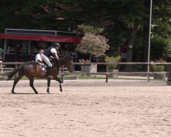 Reitturnier Klein Roscharden 2025