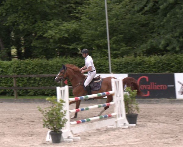 Reitturnier Klein Roscharden 2025