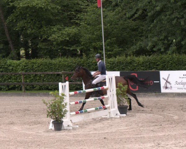 Reitturnier Klein Roscharden 2025