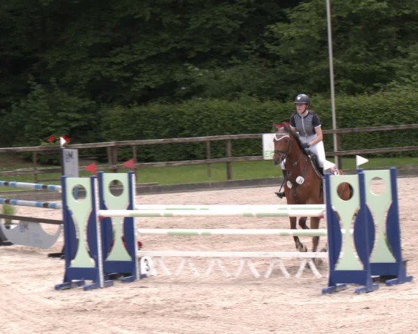 Reitturnier Klein Roscharden 2025
