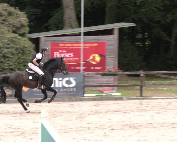 Reitturnier Klein Roscharden 2025