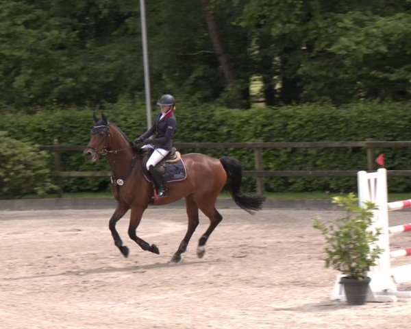 Reitturnier Klein Roscharden 2025