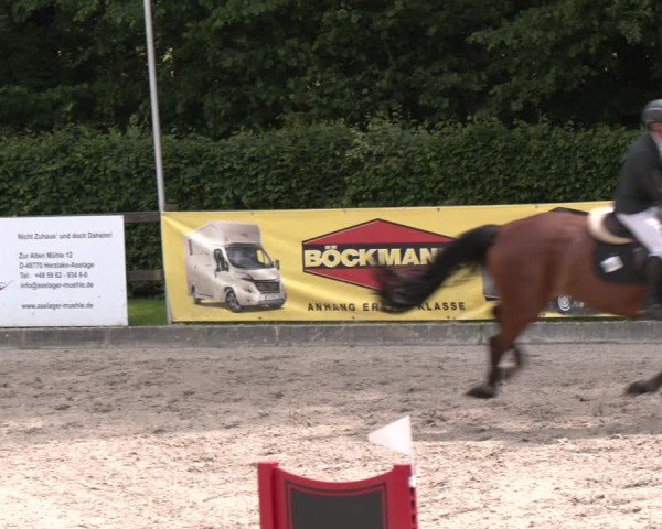 Reitturnier Klein Roscharden 2025