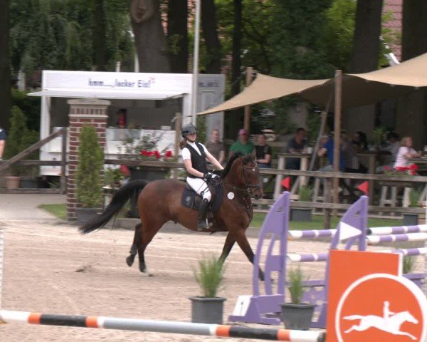 Reitturnier Klein Roscharden 2025