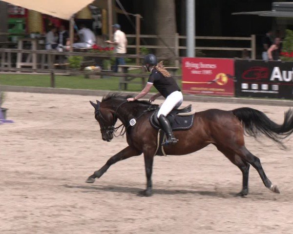 Reitturnier Klein Roscharden 2025