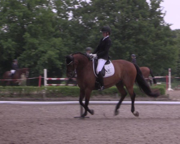 Reitturnier Hamm-Rhynern 2025