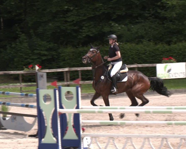 Reitturnier Klein Roscharden 2025