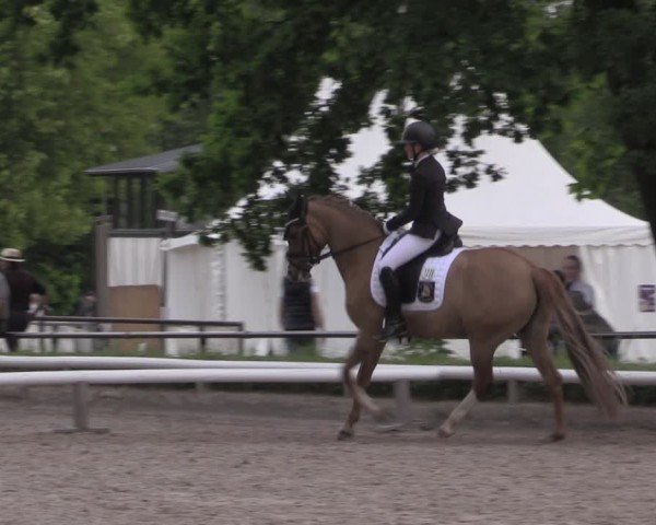 Reitturnier Hamm-Rhynern 2025