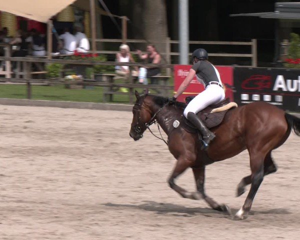 Reitturnier Klein Roscharden 2025