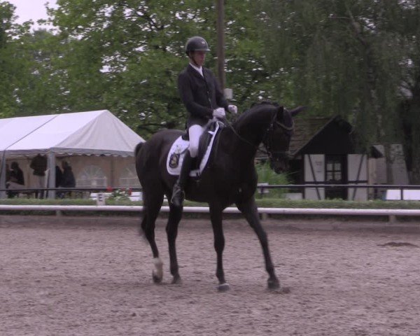 Reitturnier Hamm-Rhynern 2025