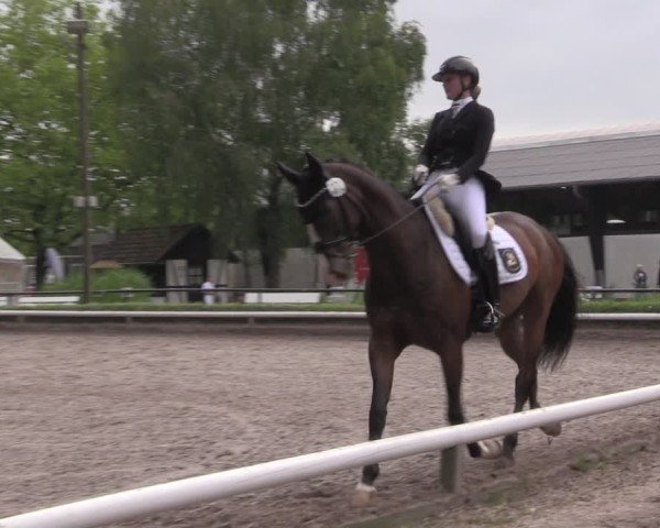 Reitturnier Hamm-Rhynern 2025