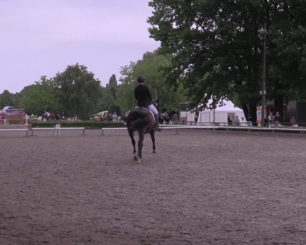 Reitturnier Hamm-Rhynern 2025