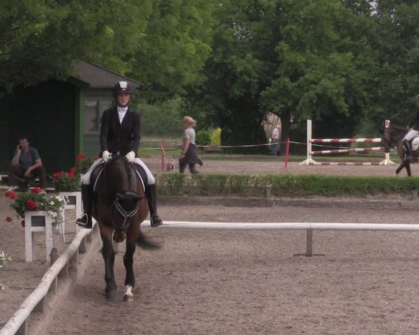 Reitturnier Hamm-Rhynern 2025